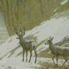 Image of painting titled Sipapu in Winter