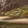 Image of painting titled American Crocodile
