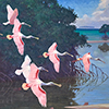 Image of painting titled Roseate Spoonbills