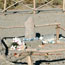 Manzanar Graves