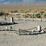 Manzanar Graves