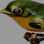 Green Bird Pin