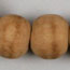 Prayer Beads