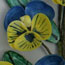 Pansy Bouquet Pansy Bouquet