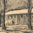 Tall Trees Surrounding Manzanar Barracks Tall Trees Surrounding Manzanar Barracks