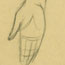Arm Sketch Arm Sketch