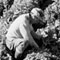 Farm Workers Farm Workers