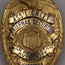 Internal Security Badge 