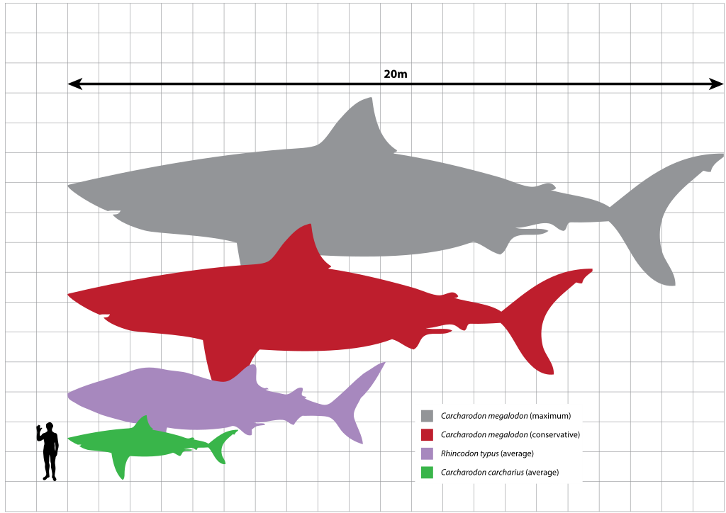 Region 1 National Capital Area Natural History Collections