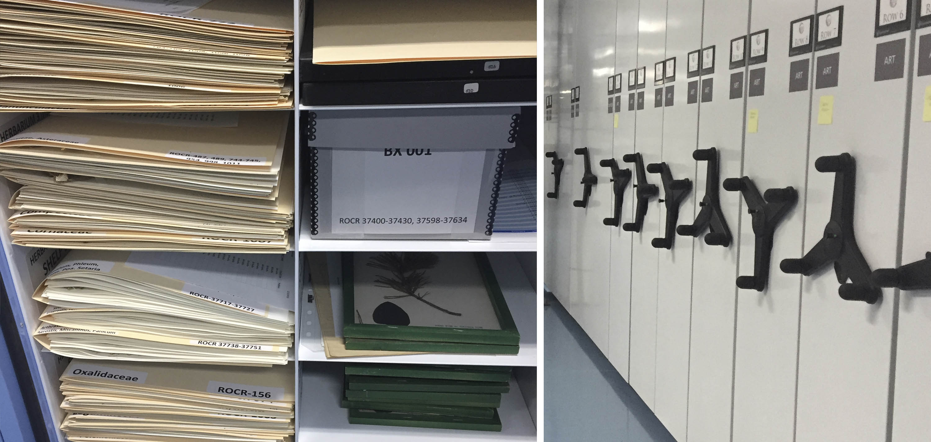 Collage with three images of archival folders and boxes and museum storage cabinets