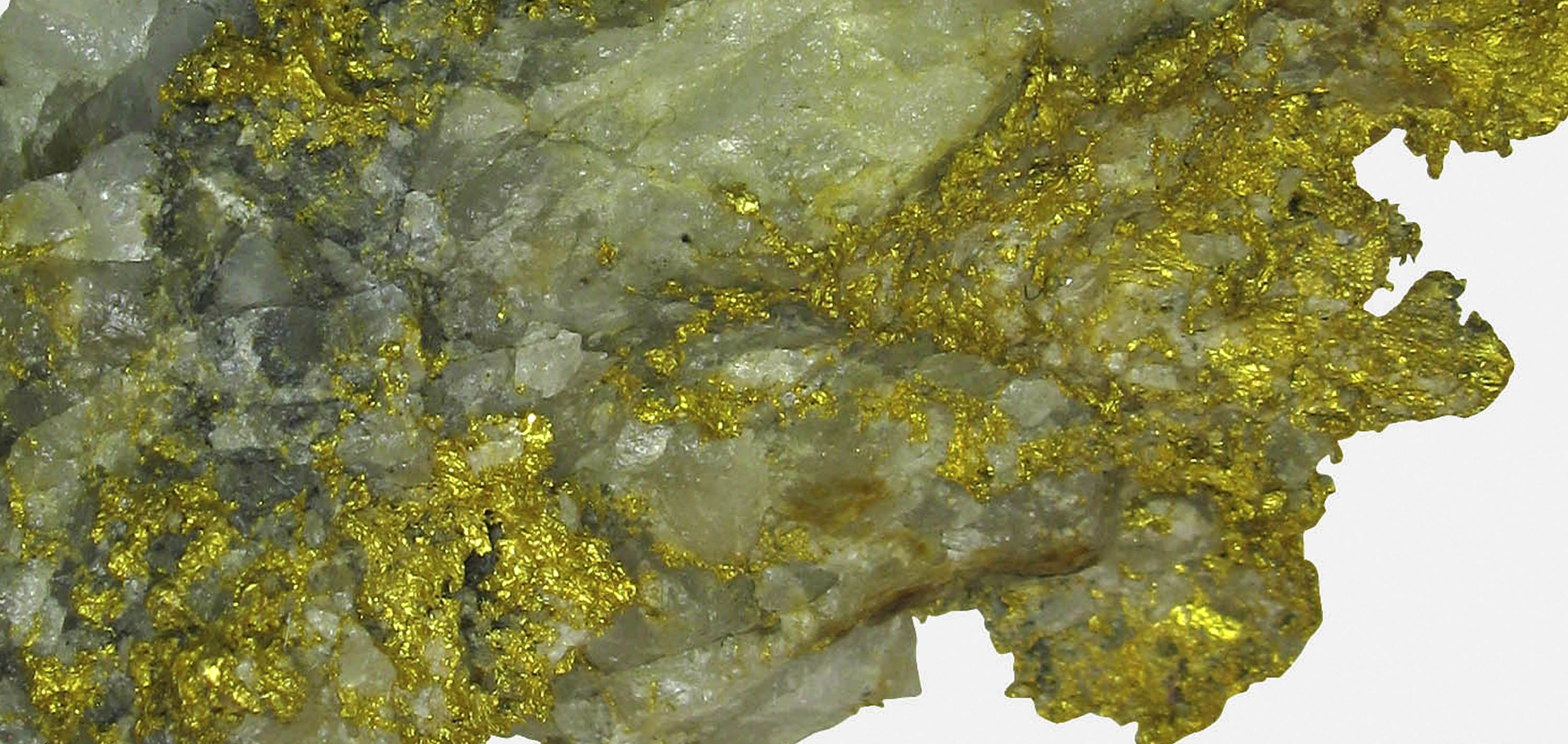 Gold (wire crystalline) - JEN20-28 - Yuba Mine Greaterville - USA Mineral  Specimen