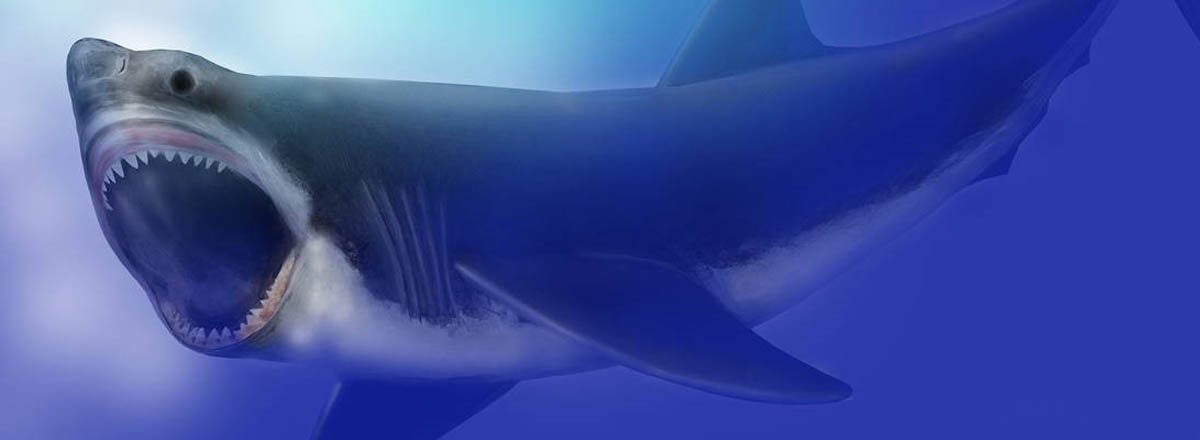 Rendering of Megalodon Shark in Blue Water