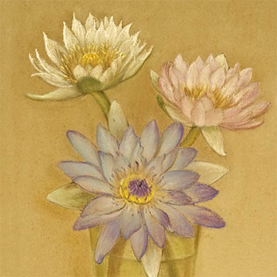 Pastel painting showing cut water lilies in vase