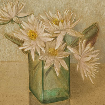Pastel painting of five white water lilies in clear rectangular vase