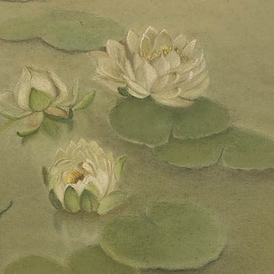 Pastel painting of three Water Lilies Floating on Pond