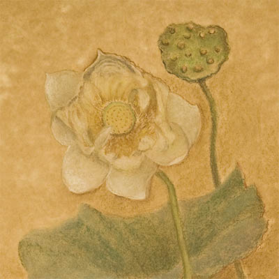 Painting showing a white lotus flower