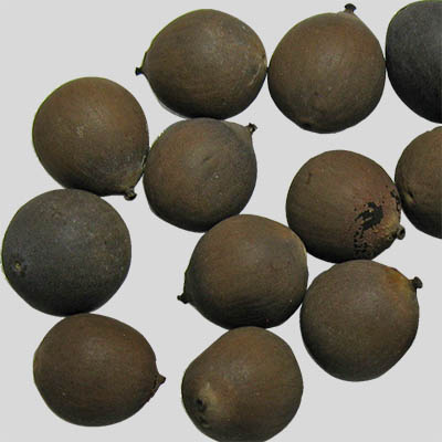 Seeds from lotus flowers (Nelumbo sp.)