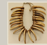 Grizzly Bear Claw Necklace - NEPE 1990