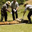 Raising the Tipi (Photograph)