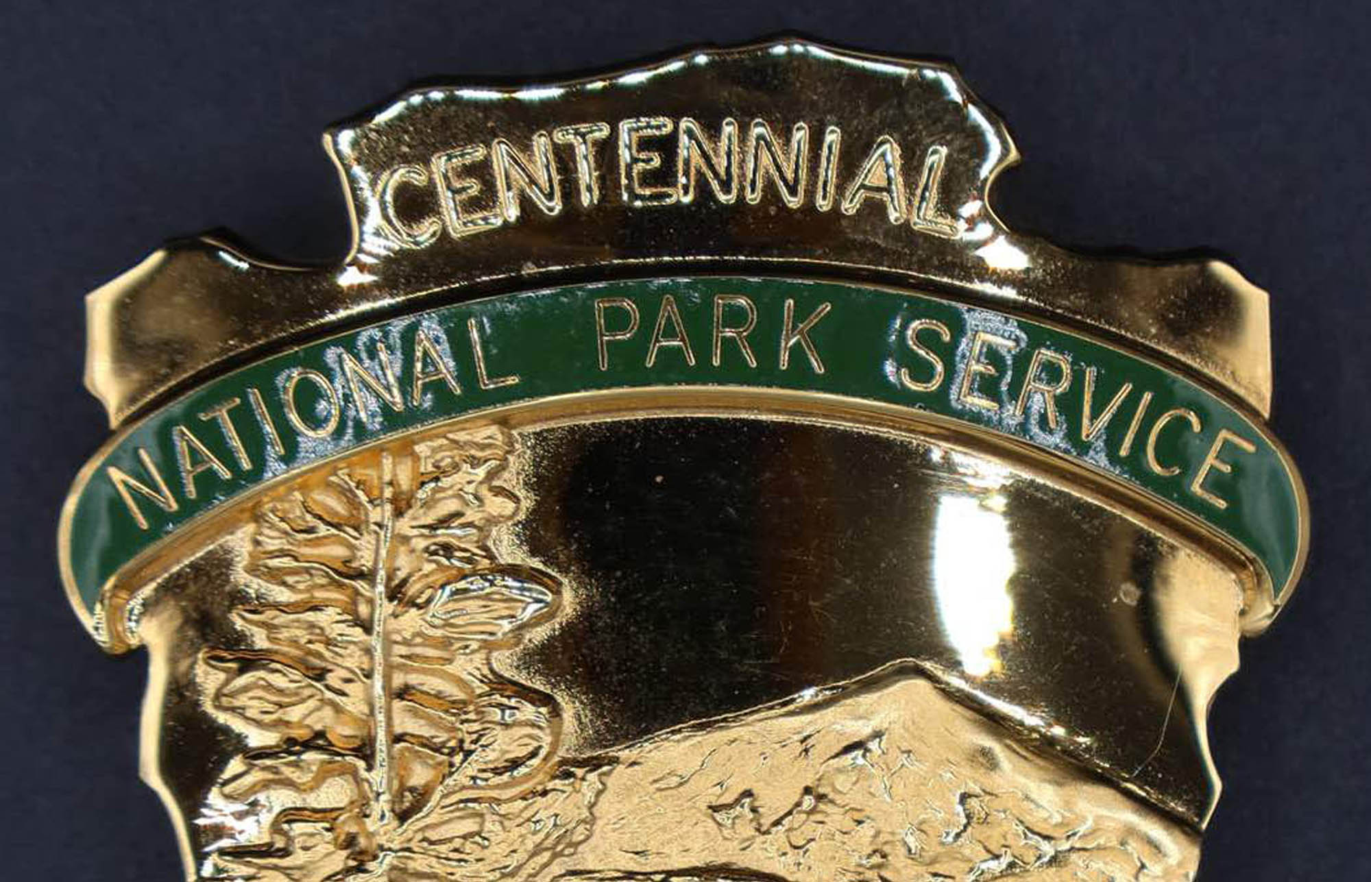 Gold arrowhead-shaped badge featuring bison scene engraved with Centennial at top and 1916-2016 below. Green banner reads National Park Service.e