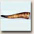 Powder Horn <click to expand and read details>