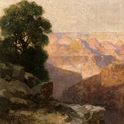 View of the Grand Canyon from the Rim