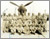 Airmen Group Photo in front of plane.