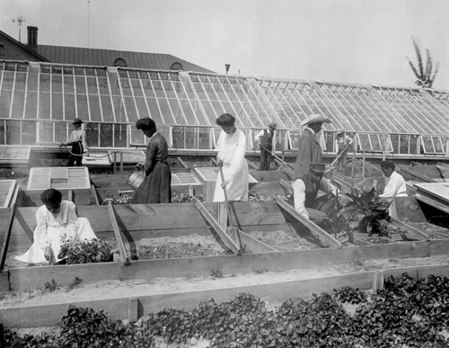 Photograph shows Horticultural students of the Tuskegee Institute, Tuskegee, working in seed beds
