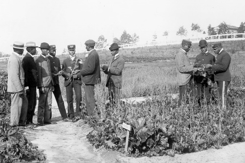 Carver standing with students examining mustard plants