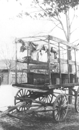 Jesup Wagon