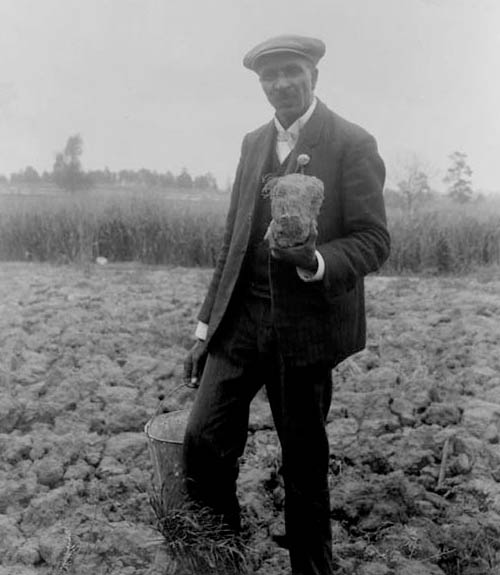George Washington Carver holding a cabbage