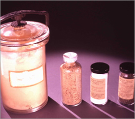 Commercially Developed Sweet Potato Products Attributable to Carver