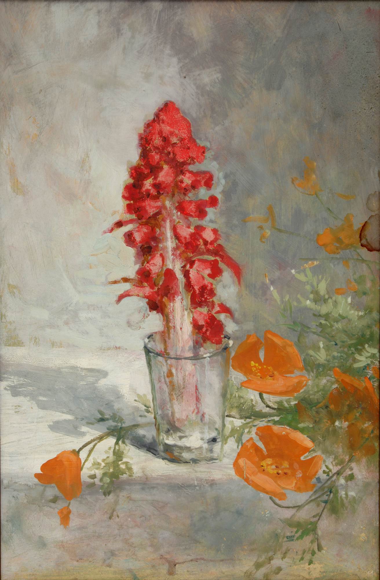 Painting of The Snow Plant