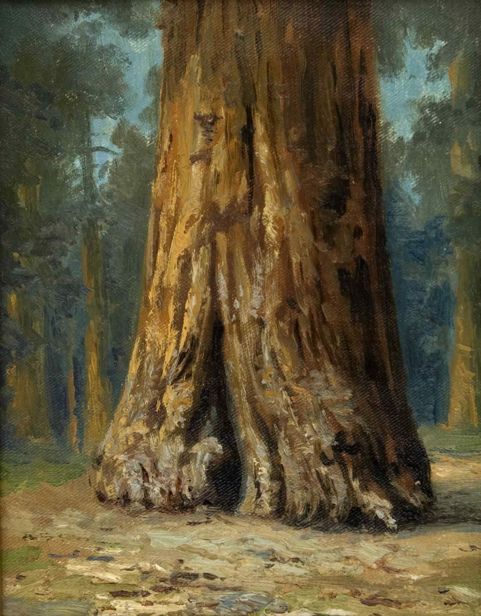 Portrait of Mariposa Grove - Base of Sequois Gigantia