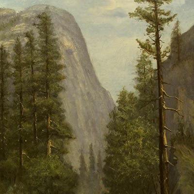 Yosemite Valley Floor