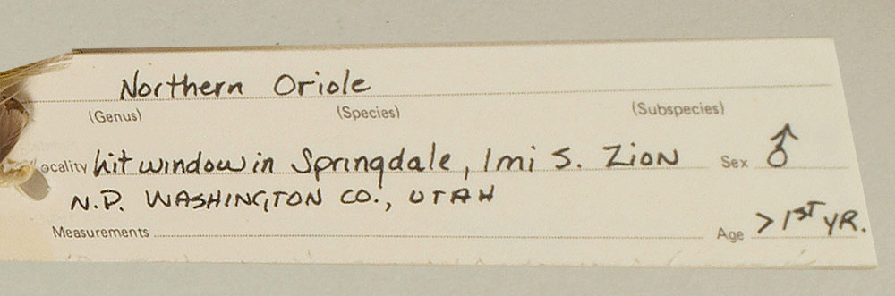 Specimen Label