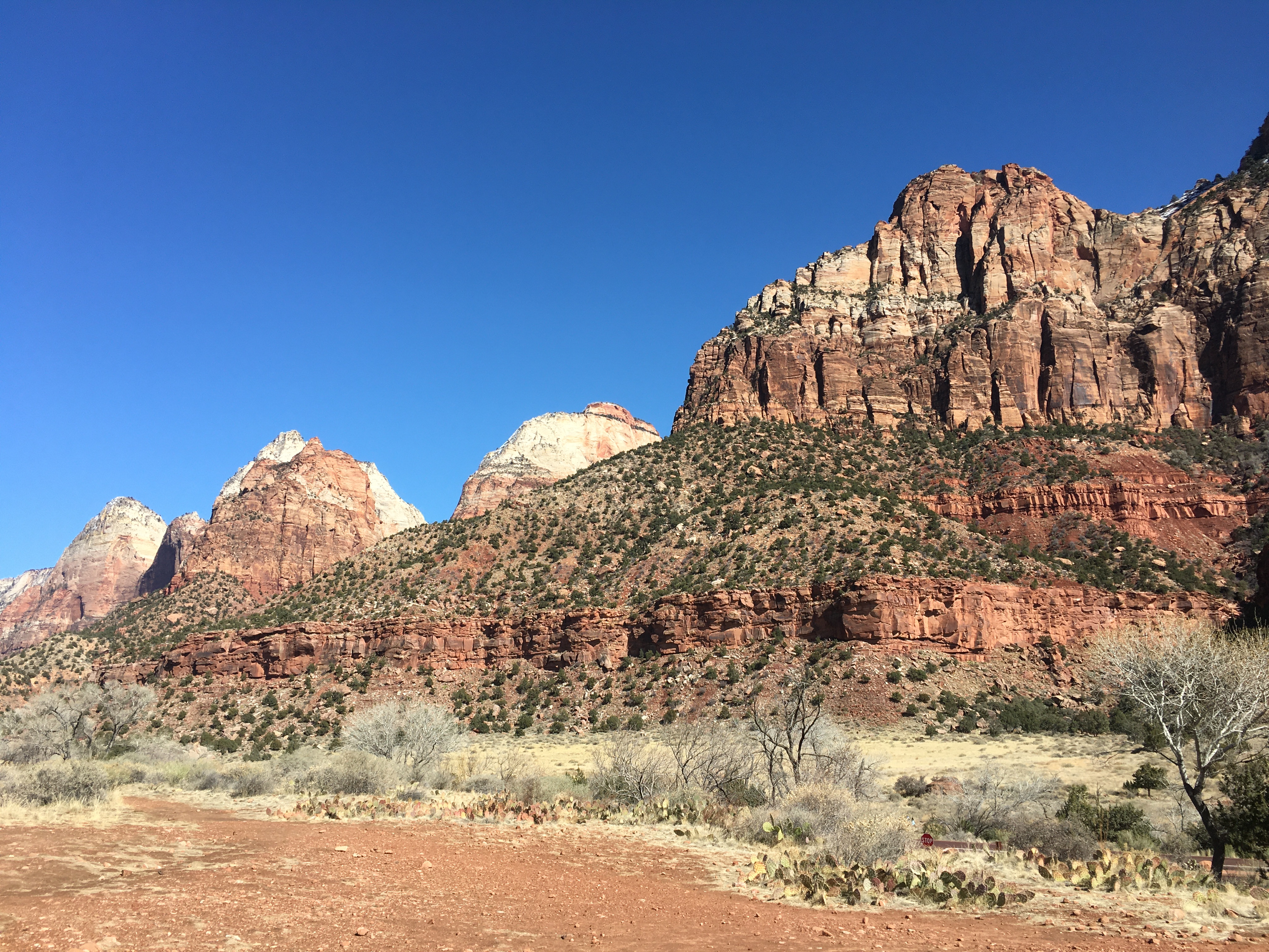 Desert view of Zion National Park