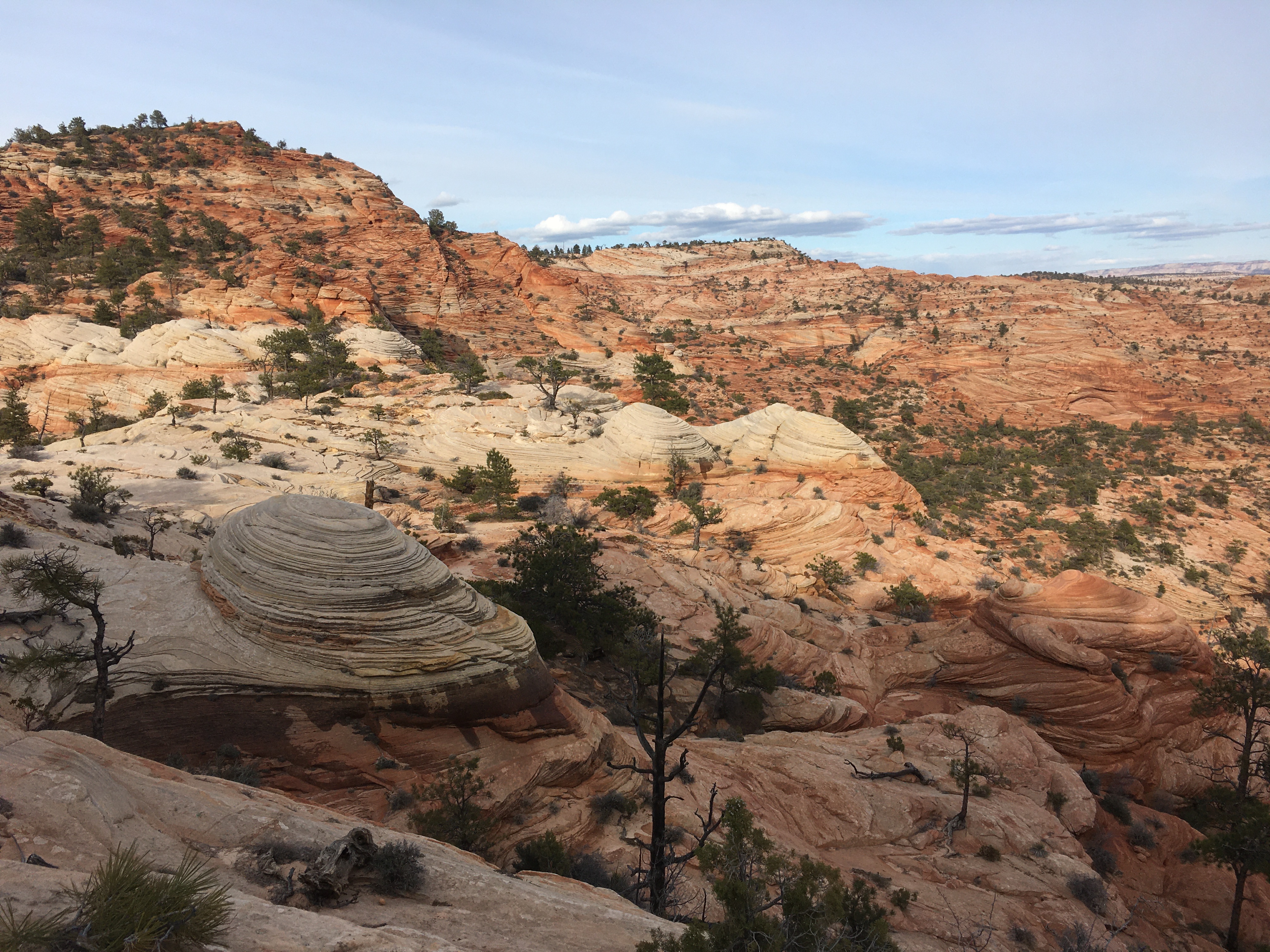 Zion East Side Wilderness