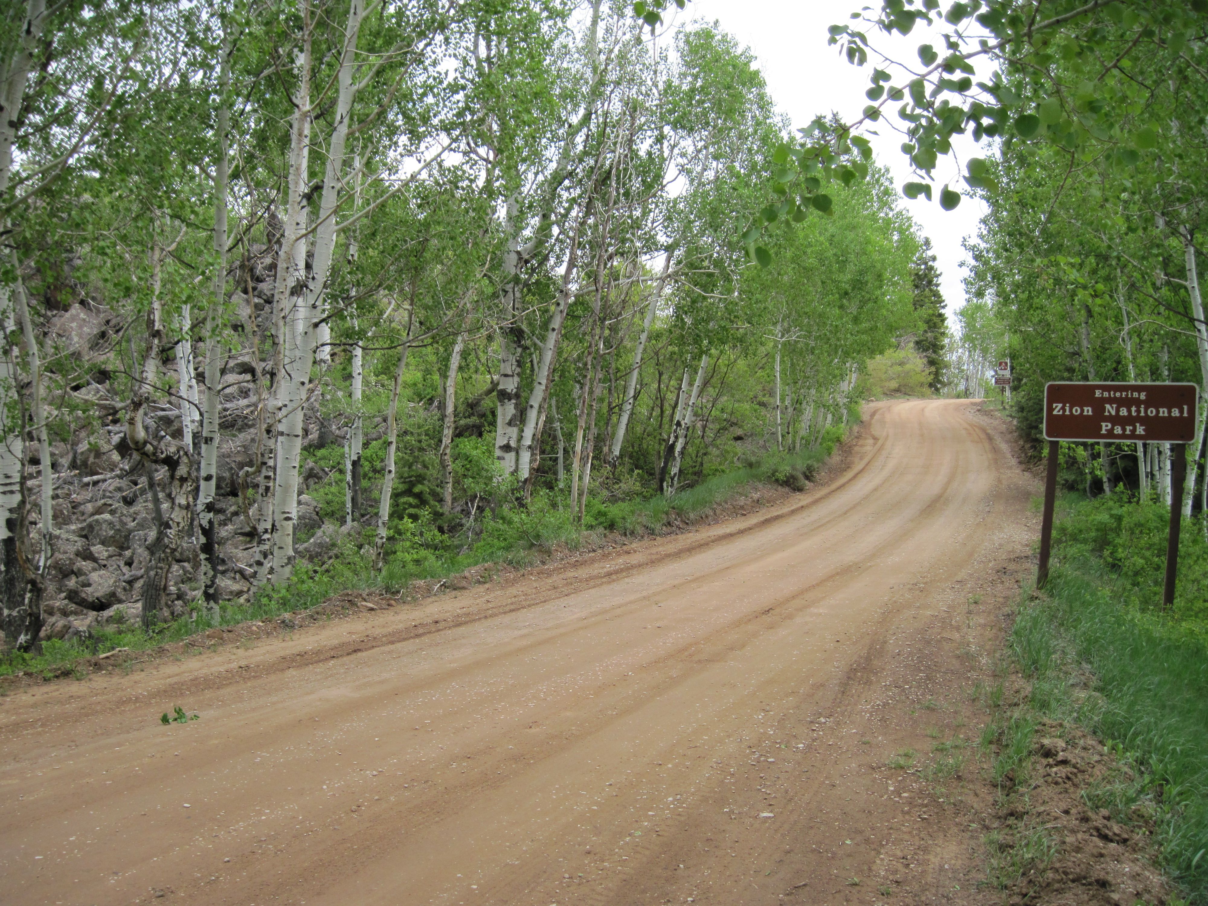 Zion High Plateau Forest