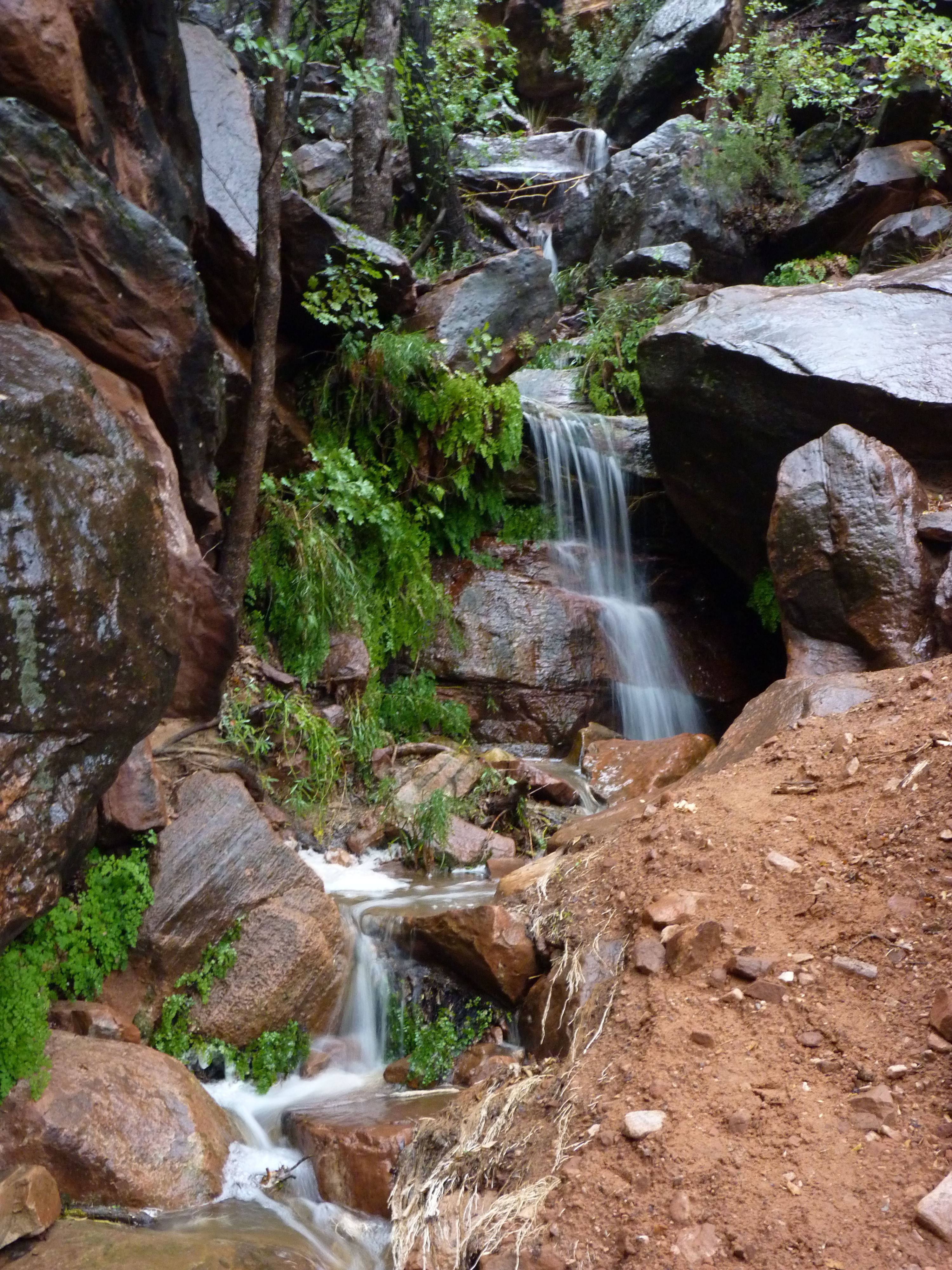 Zion Waterfall
