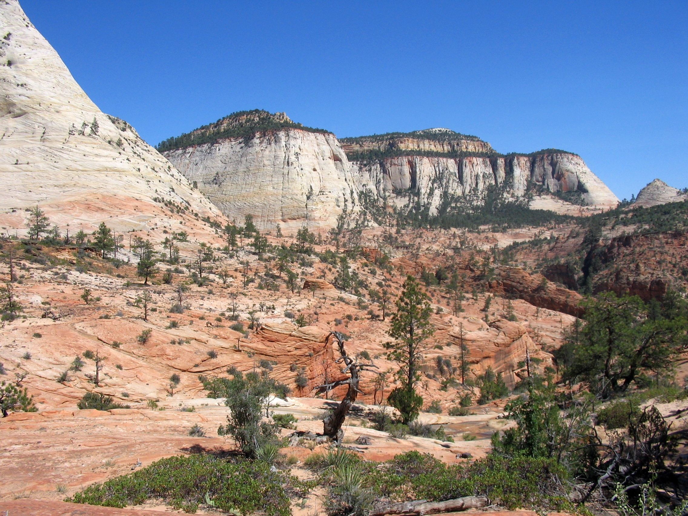 Slick Rock High Plateau