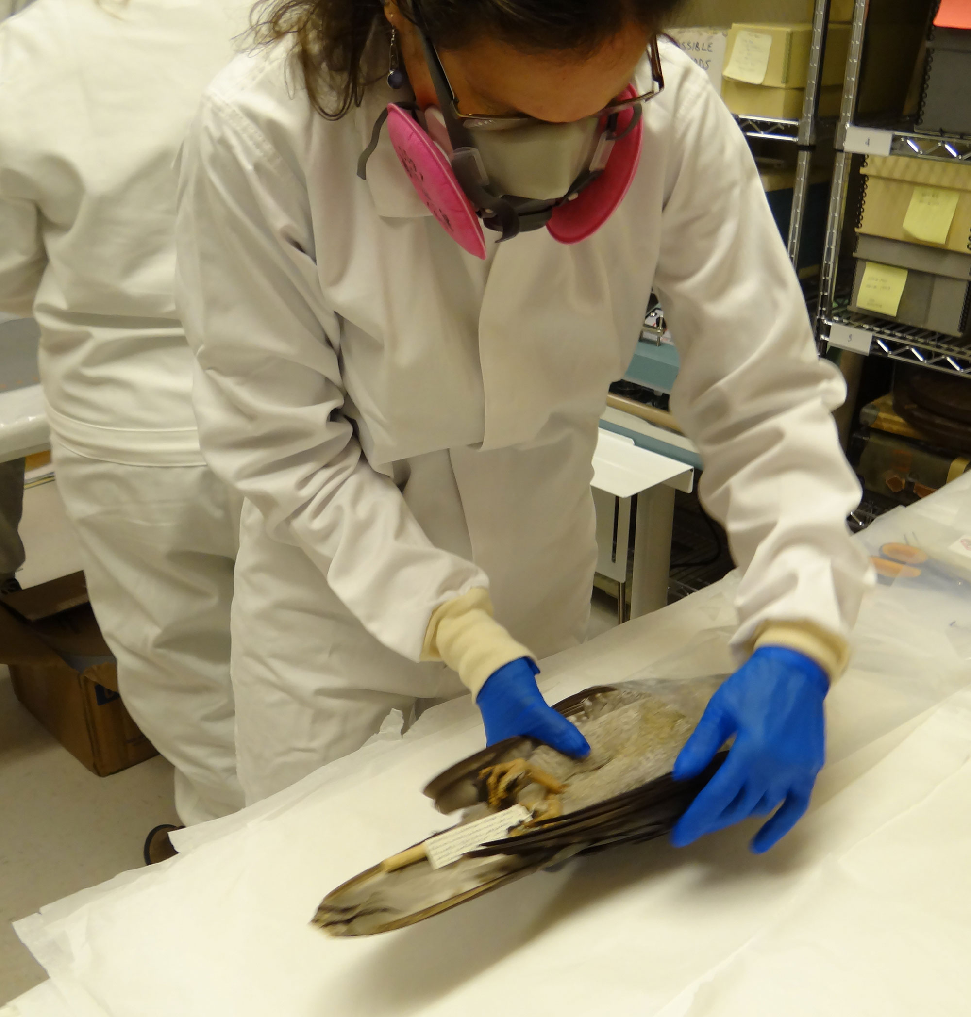 Placing specimen in polypropylene bag