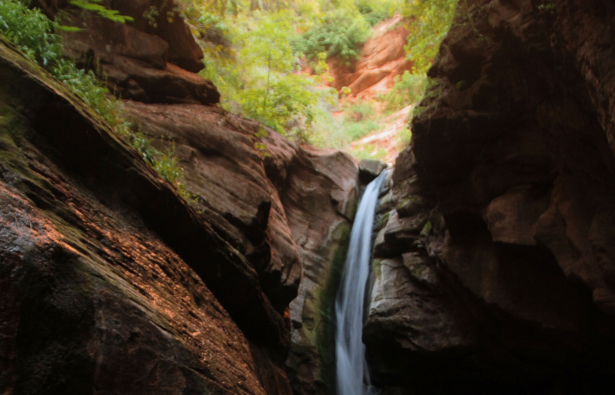 Beartrap Falls Zion National Park