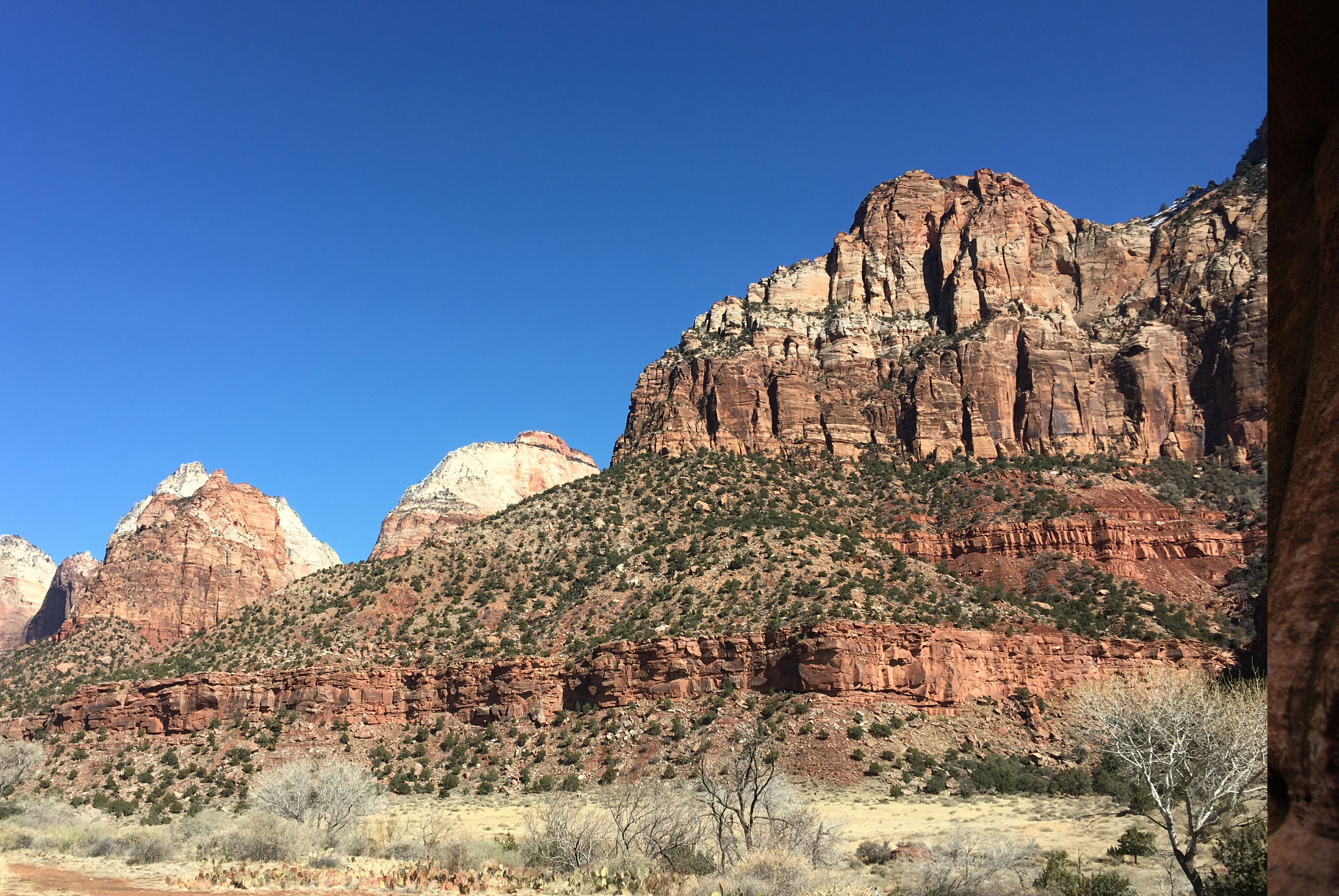 View from Zion Human History Museum