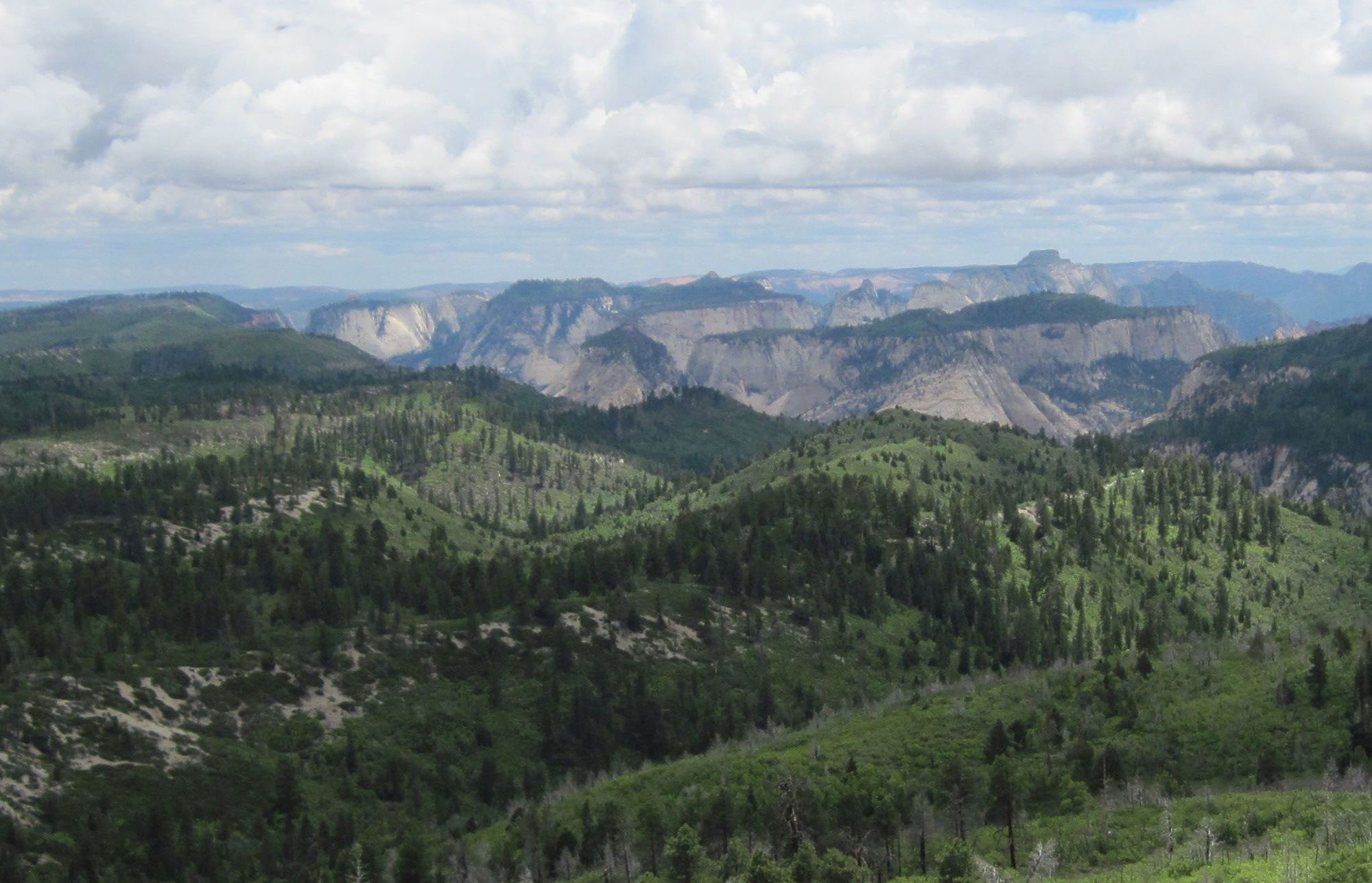 View from Lava Point