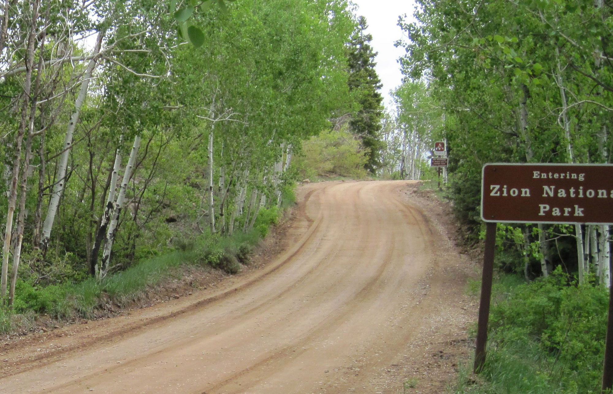 Zion High Plateau Forest