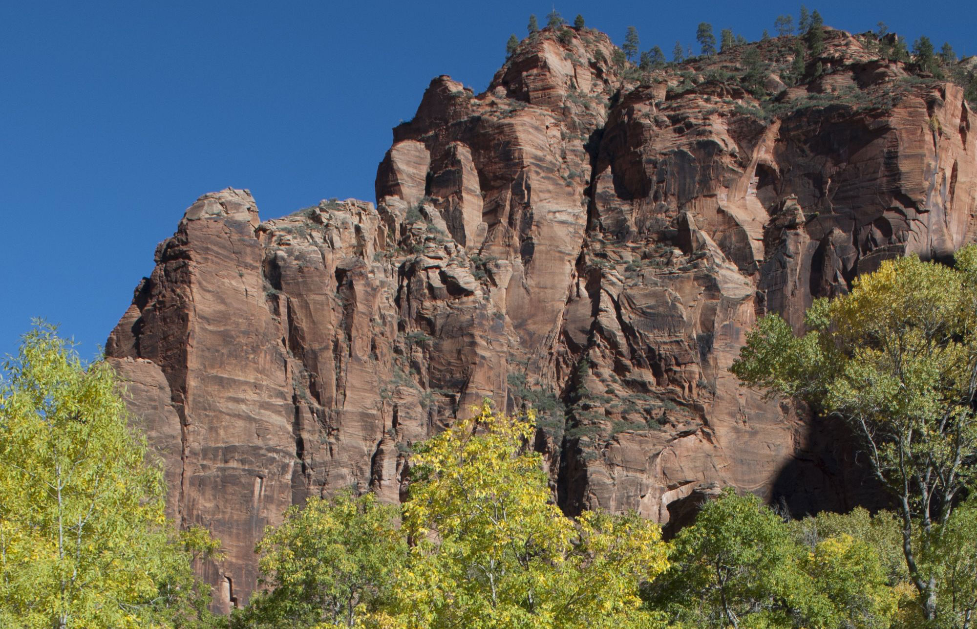 Virgin River Zion National Park