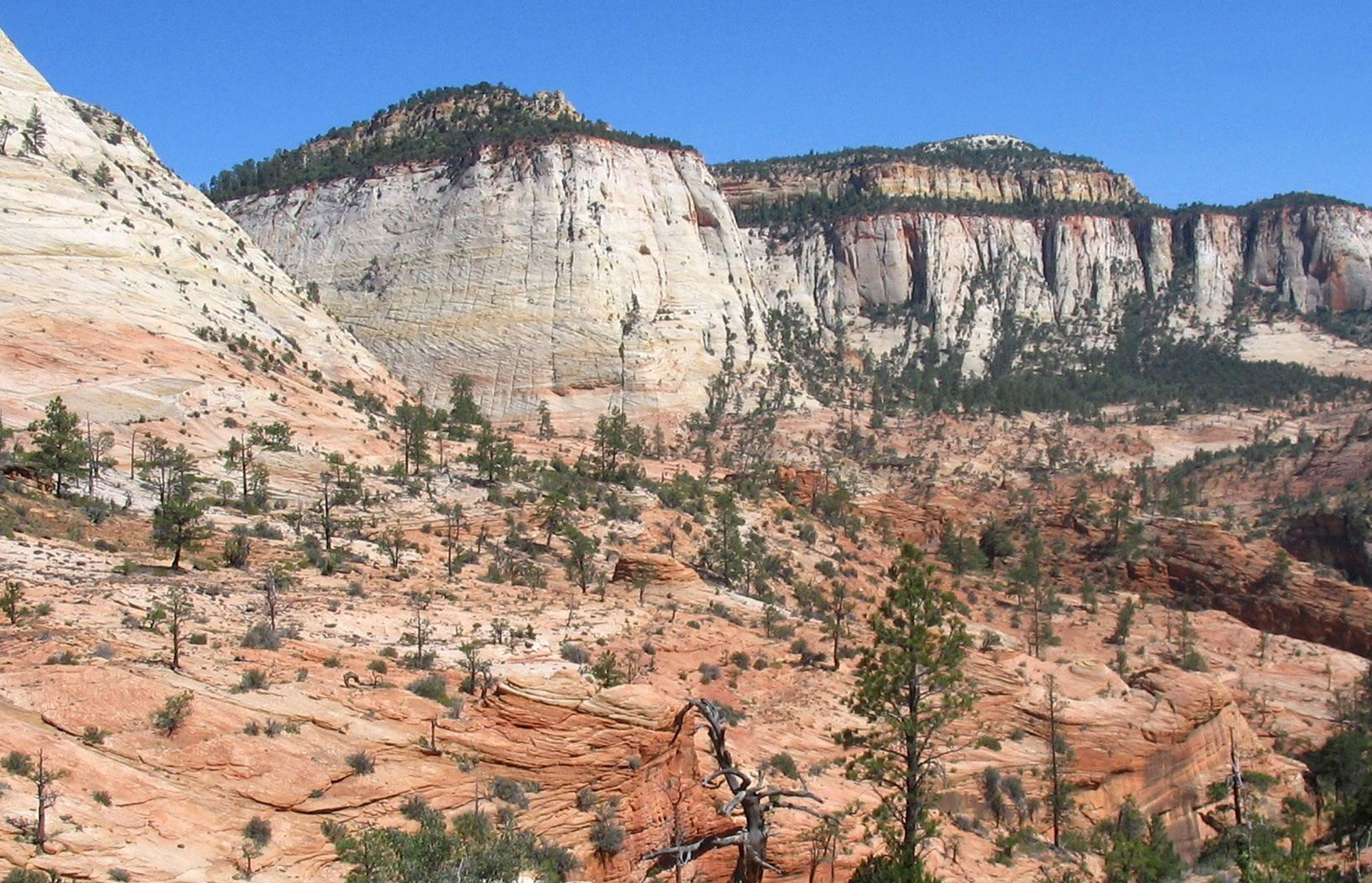 Slick Rock on High Plateau Zion National Park