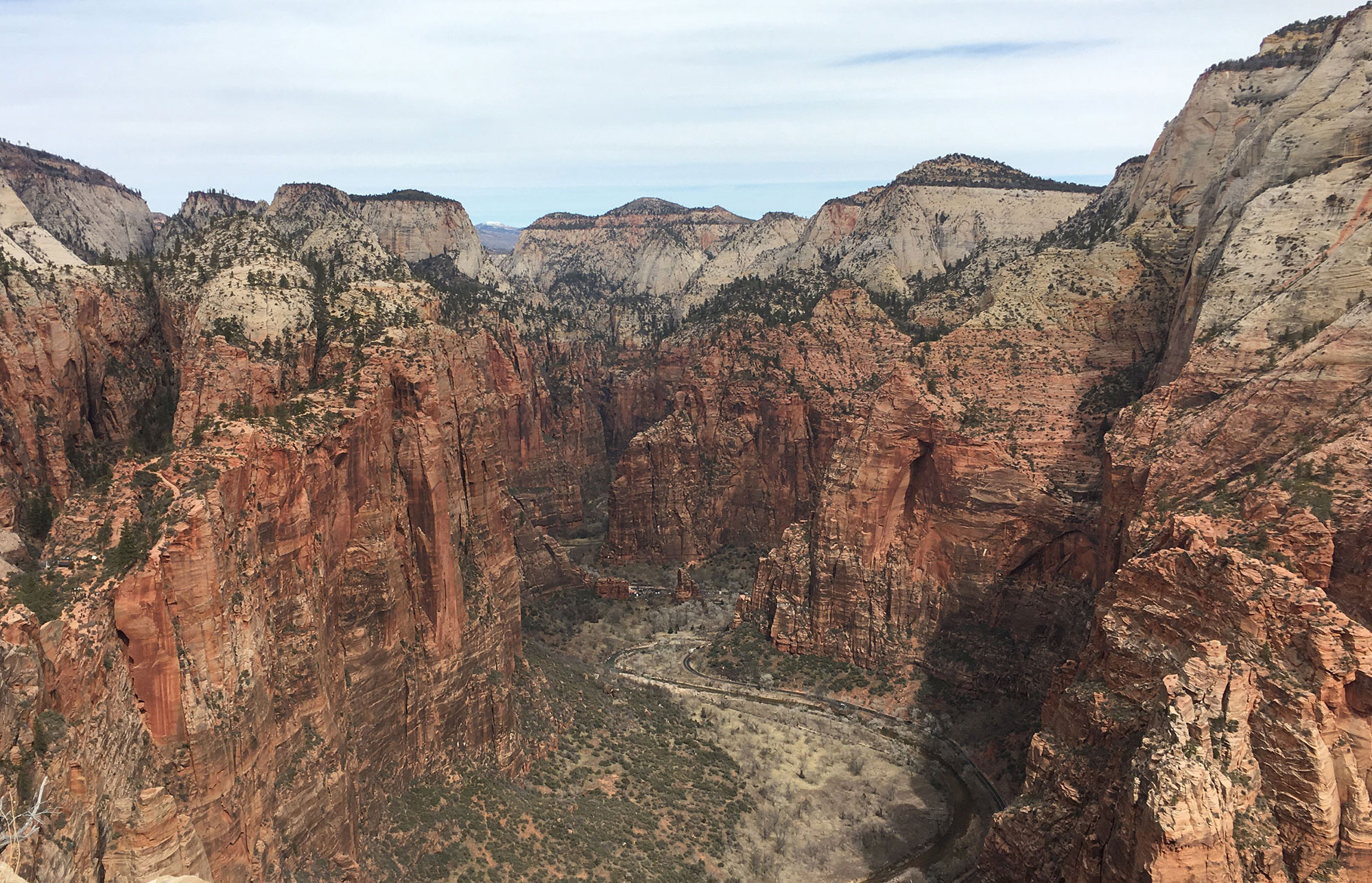 Angels Landing View Zion National Park