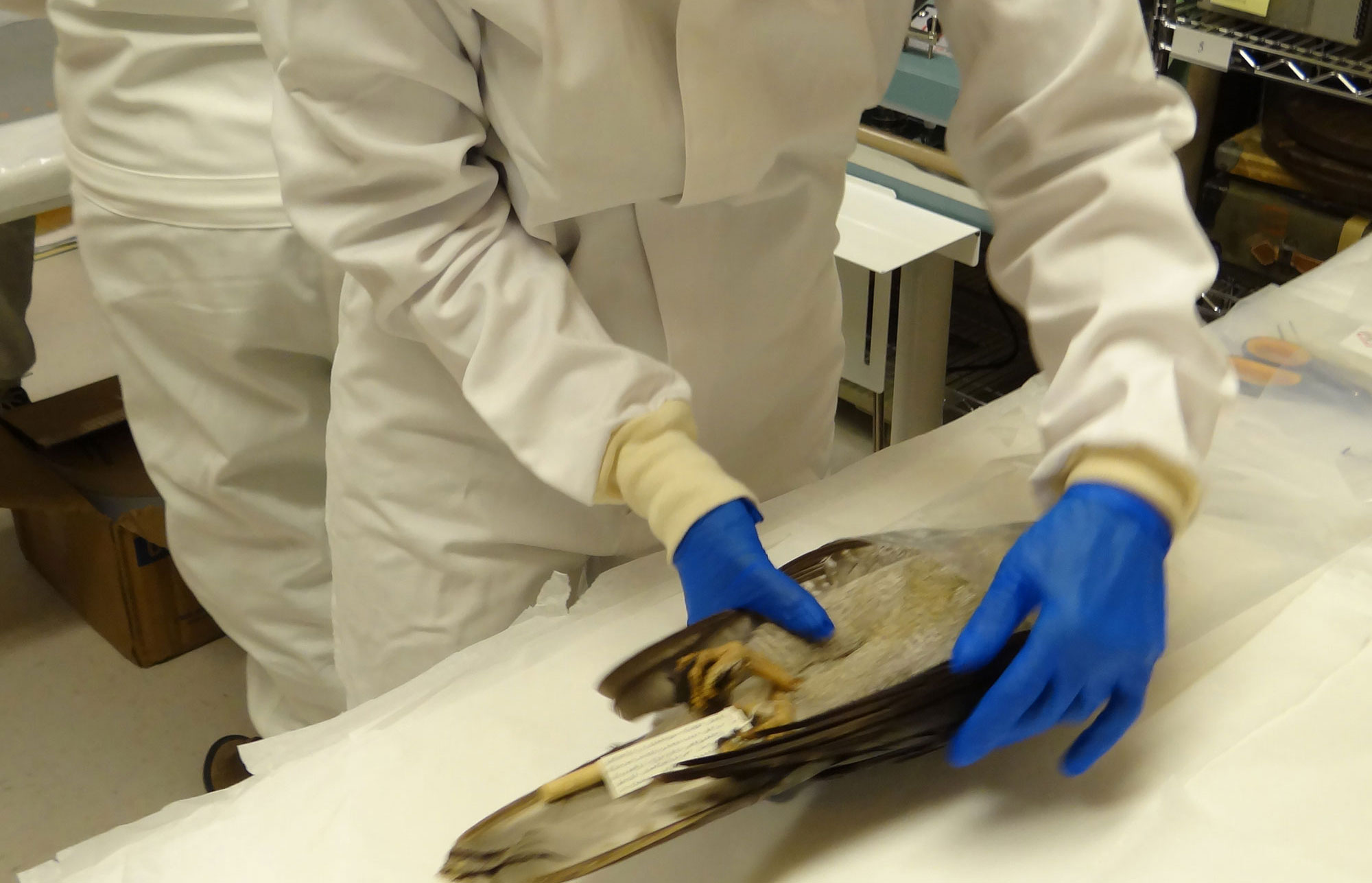 Placing specimen in polypropylene bag